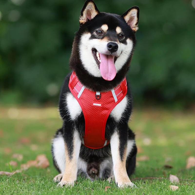🎁Christmas 49% OFF⏳Reflective Dog Chest Strap - Image 10