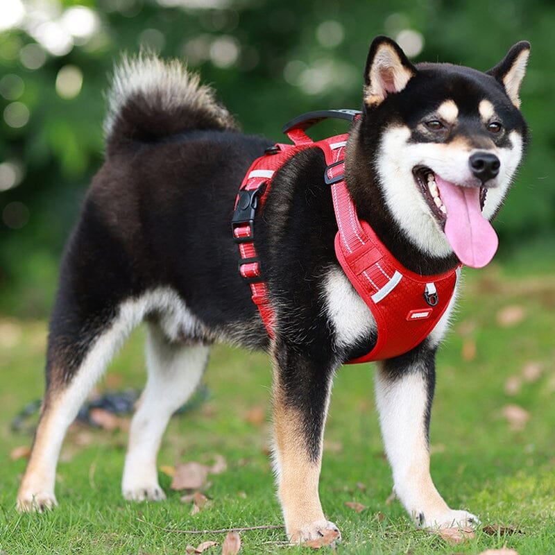 🎁Christmas 49% OFF⏳Reflective Dog Chest Strap - Image 11