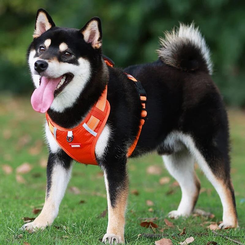 🎁Christmas 49% OFF⏳Reflective Dog Chest Strap - Image 13