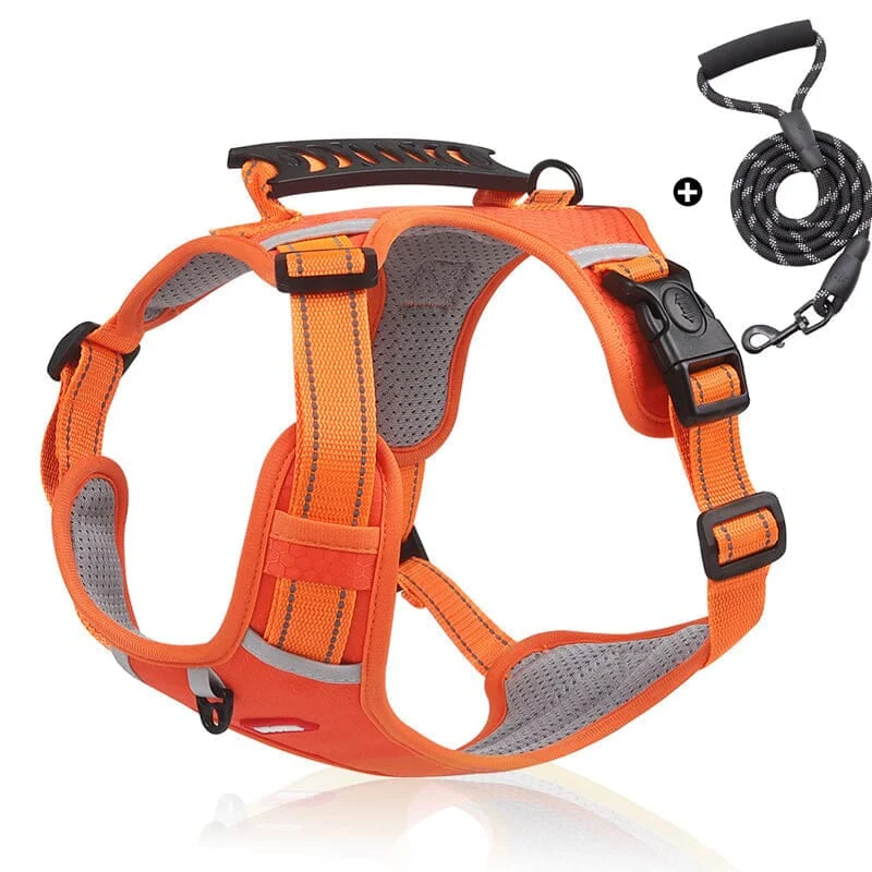🎁Christmas 49% OFF⏳Reflective Dog Chest Strap - Image 18