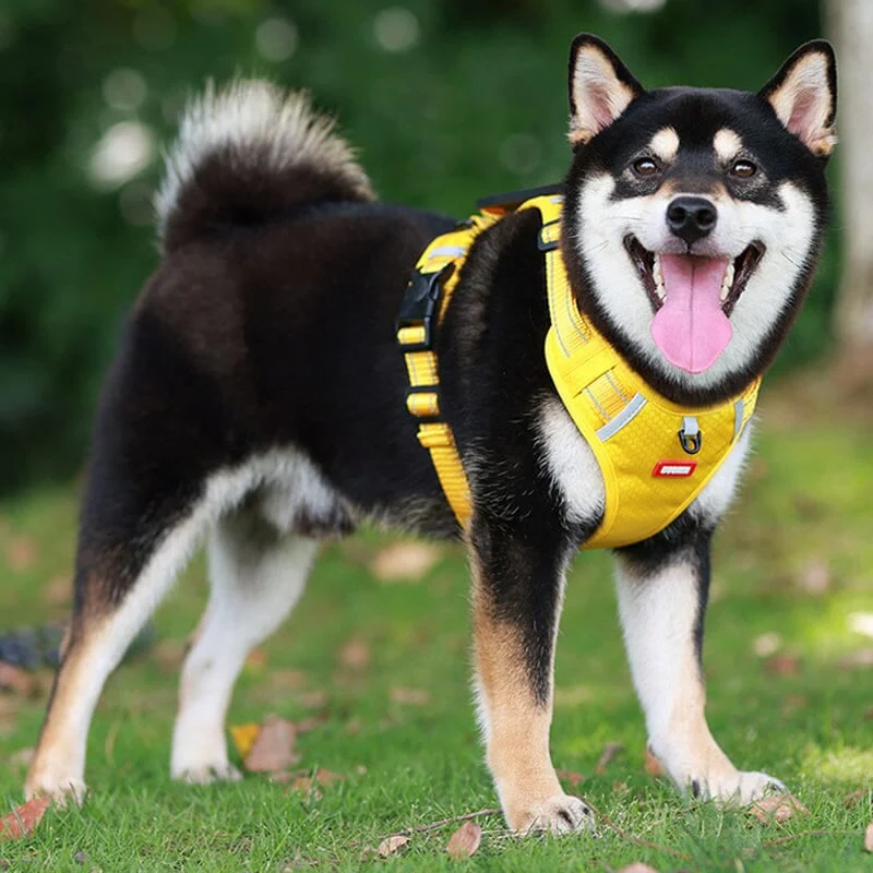 🎁Christmas 49% OFF⏳Reflective Dog Chest Strap - Image 9