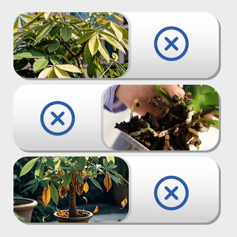 Multi-Plant Liquid Reviver - Image 3