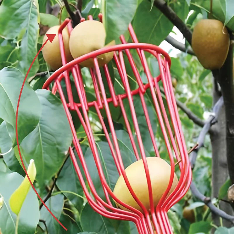 Foldable and Detachable Fruit Picker Portable Fruit Picking Tool - Image 5