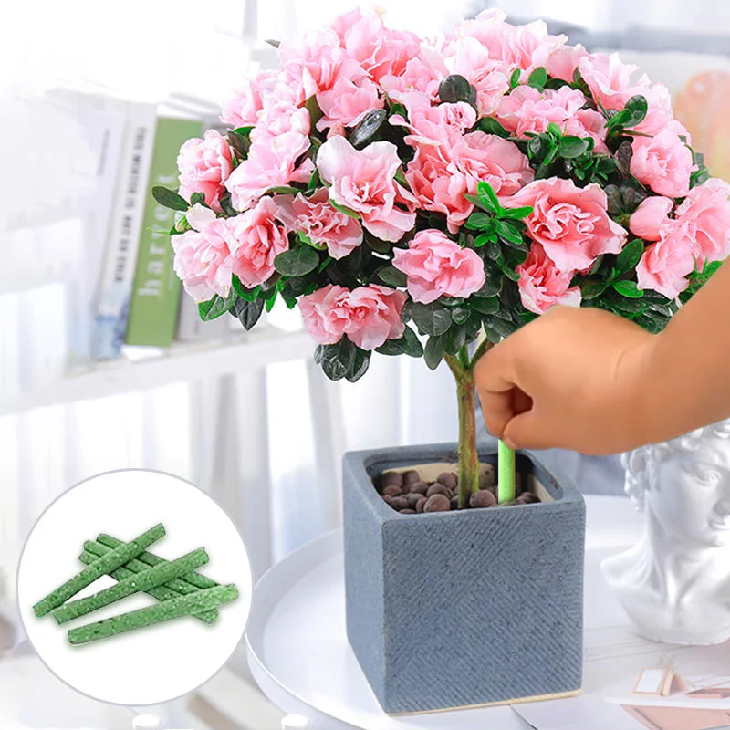 💥Last Day Promotion 49%OFF💥 Slow-Release Organic Fertilizer In Stick Form For Indoor Plants(BUY 5 GET 10 FREE) - Image 2