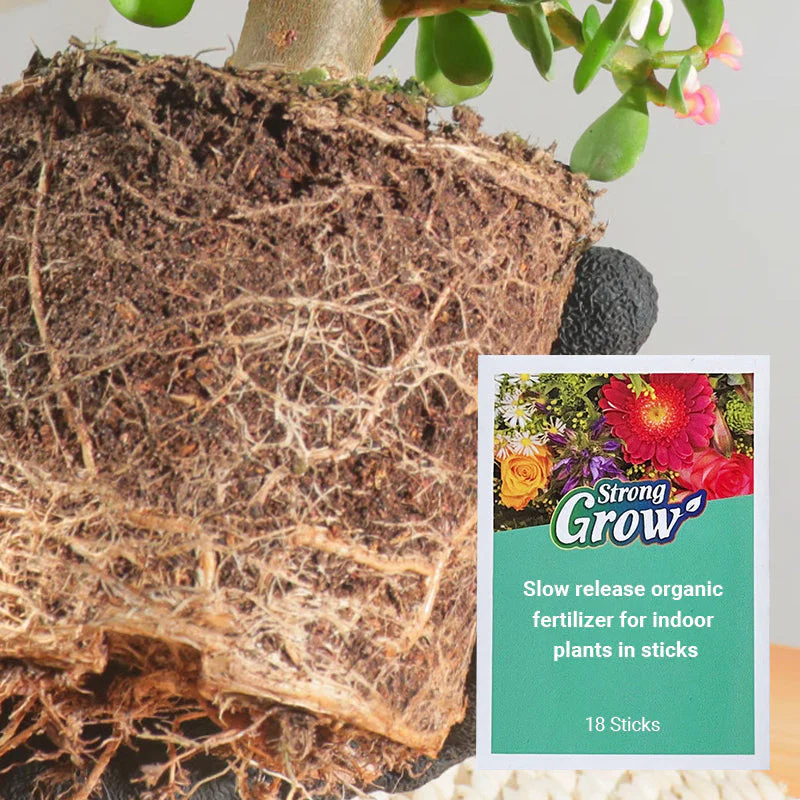 💥Last Day Promotion 49%OFF💥 Slow-Release Organic Fertilizer In Stick Form For Indoor Plants(BUY 5 GET 10 FREE) - Image 5