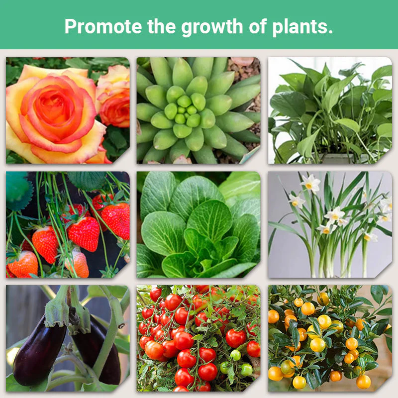 💥Last Day Promotion 49%OFF💥 Slow-Release Organic Fertilizer In Stick Form For Indoor Plants(BUY 5 GET 10 FREE) - Image 6