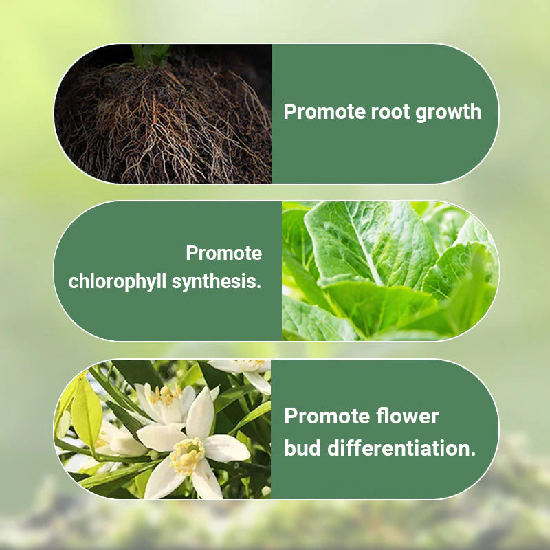 💥Last Day Promotion 49%OFF💥 Slow-Release Organic Fertilizer In Stick Form For Indoor Plants(BUY 5 GET 10 FREE) - Image 8