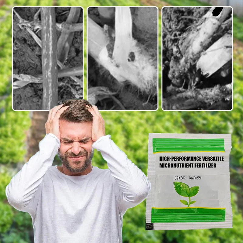 High-Performance Versatile Micronutrient Fertilizer - Image 2