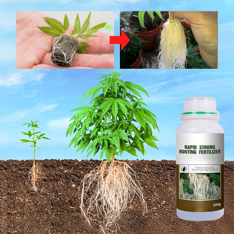 Rapid Strong Rooting Fertilizer - Image 3