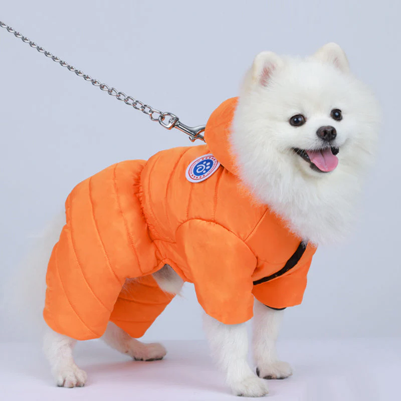 Warm Windproof Winter Dog Padded Clothes - Image 3