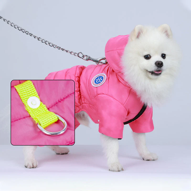 Warm Windproof Winter Dog Padded Clothes - Image 4